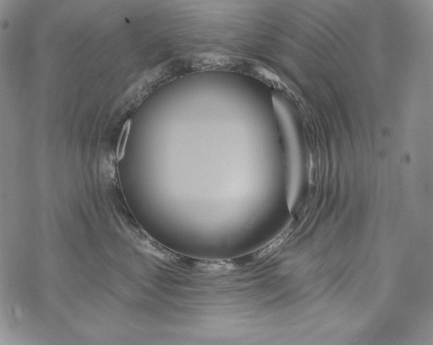 X0000075880621200610062029