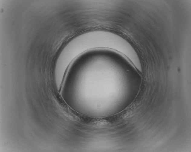 X0000075880642200610062029