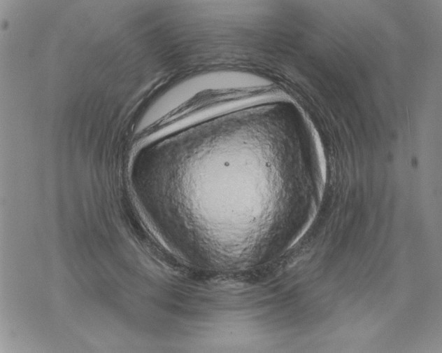 X0000075880648200610062029