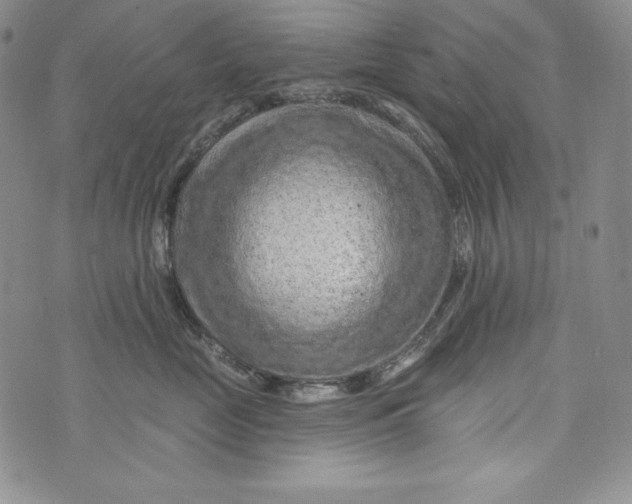 X0000075880669200610062029