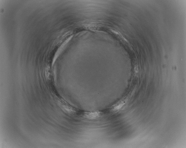 X0000075880671200610062029