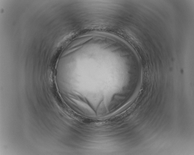 X0000075880692200610062028