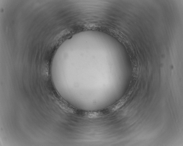 X0000075880710200610062028