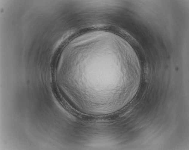 X0000075880734200610062027