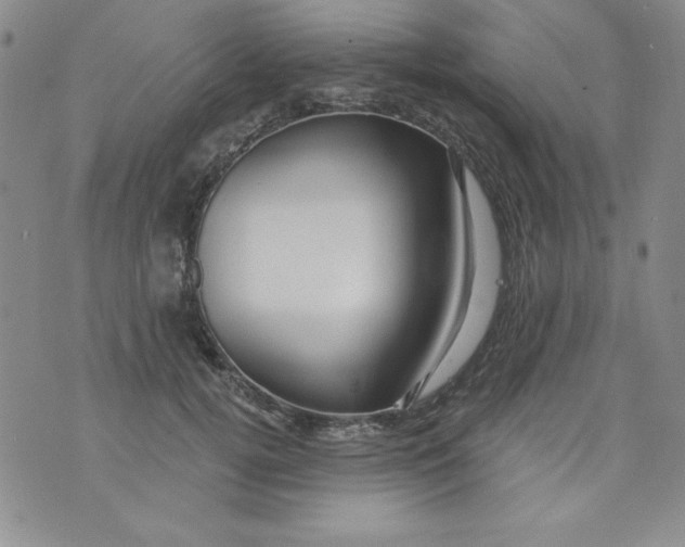 X0000075880752200610062027