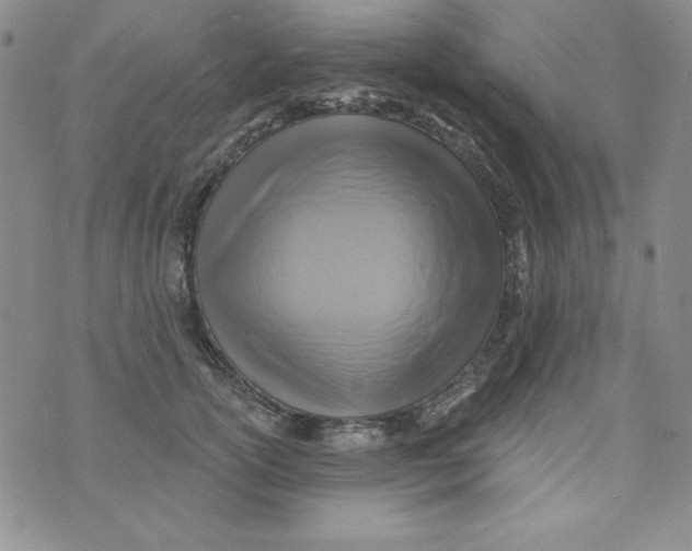 X0000075880754200610062027