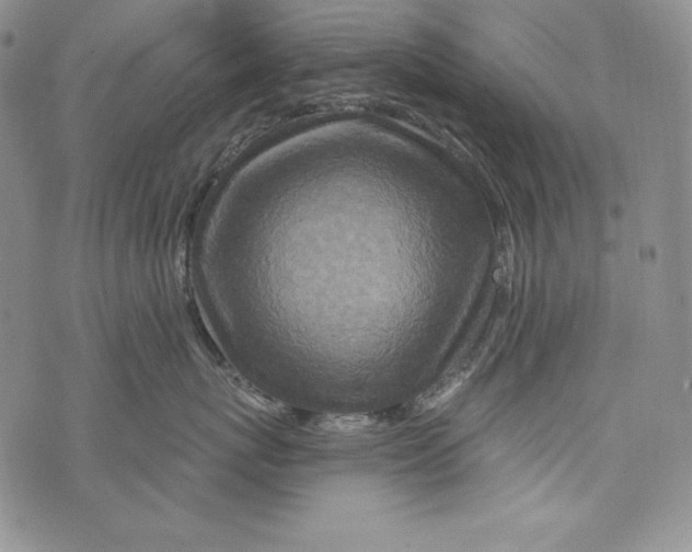 X0000075880767200610062027