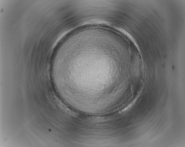 X0000075880783200610062027