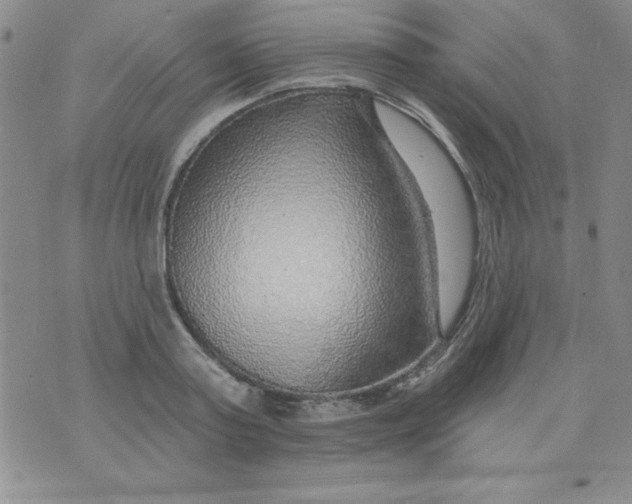 X0000075880795200610062026