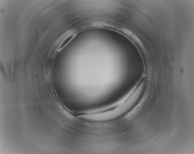 X0000075880801200610062026