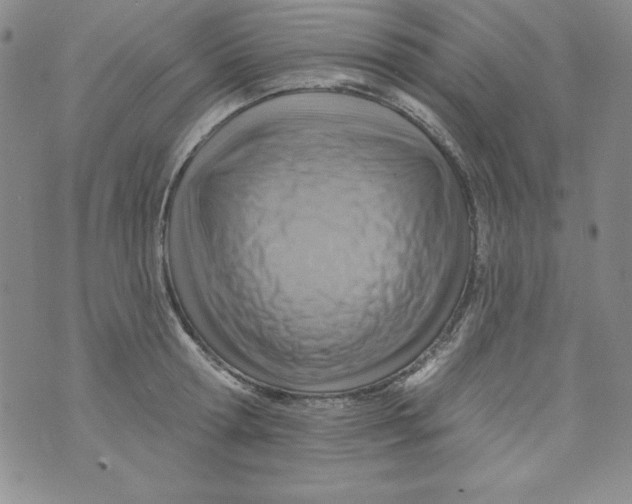 X0000075880802200610062026