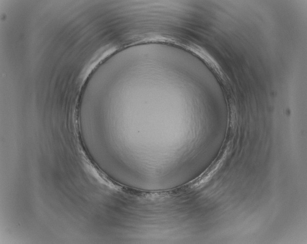 X0000075880806200610062026