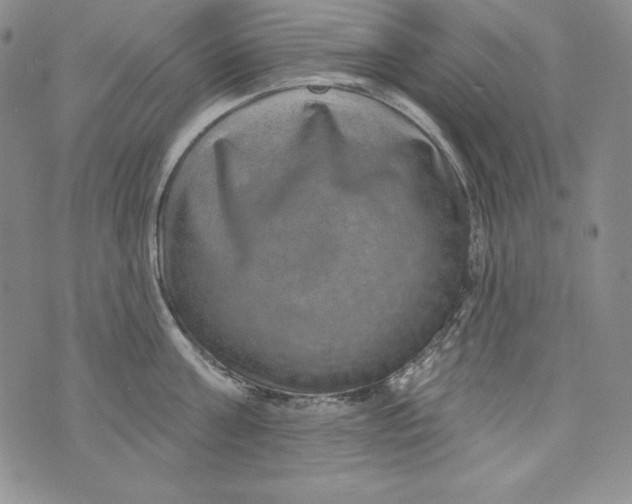 X0000075880811200610062026