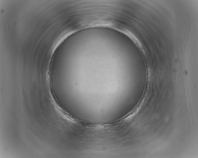 X0000075880814200610062026