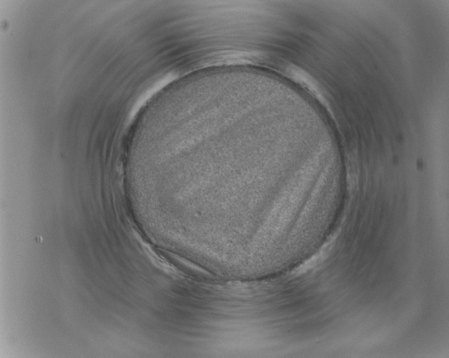 X0000075880827200610062025
