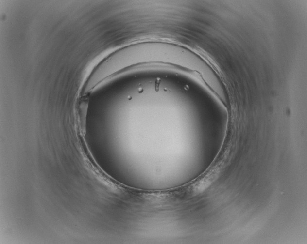 X0000075880854200610062026
