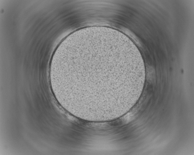 X0000075880856200610062026