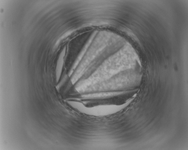 X0000075880920200610062024