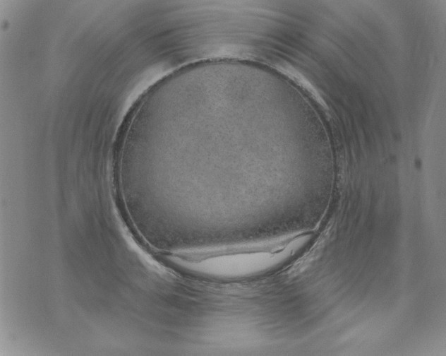 X0000075880991200610062023