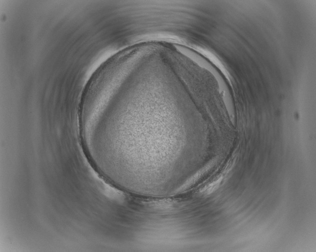 X0000075880999200610062023