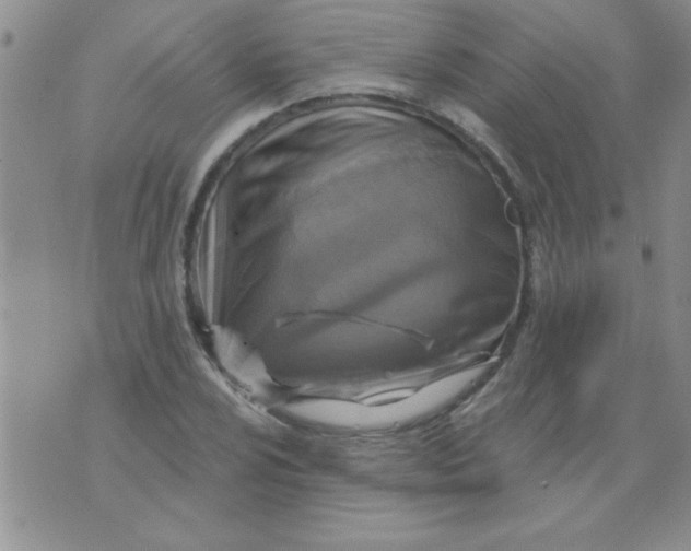 X0000075881024200610062022