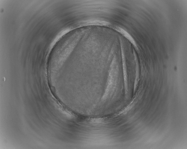X0000075881043200610062023