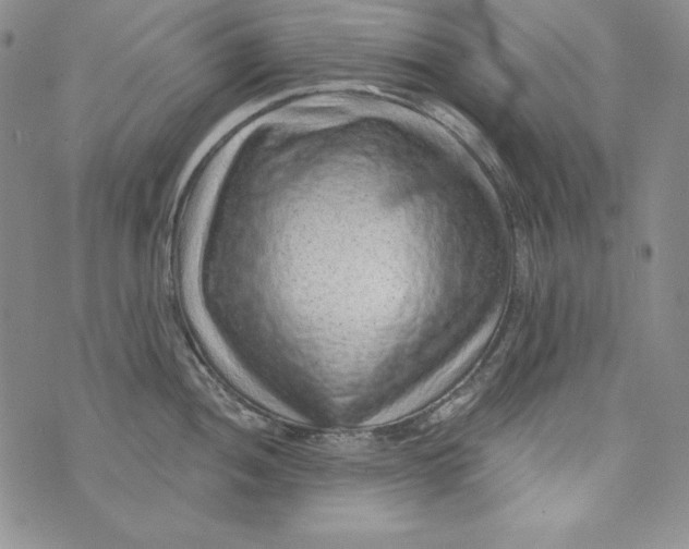 X0000075881052200610062023