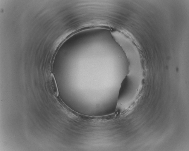 X0000075881081200610062022
