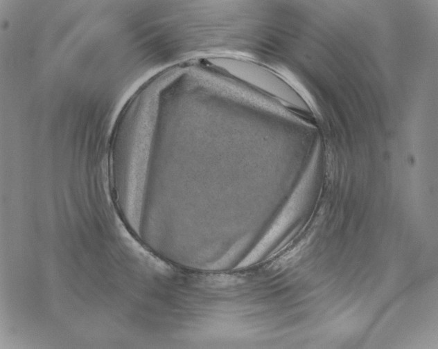 X0000075881100200610062021