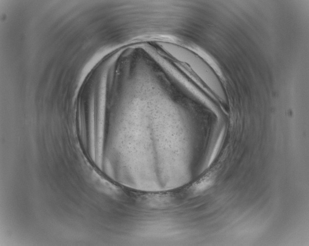 X0000075881102200610062021
