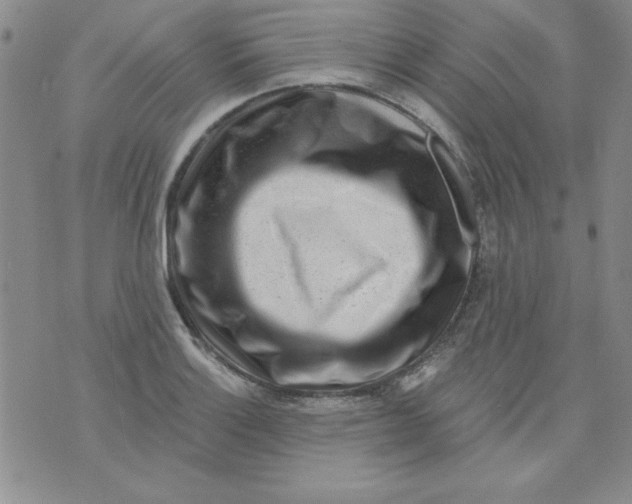 X0000075881132200610062021