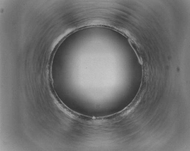 X0000075881134200610062021