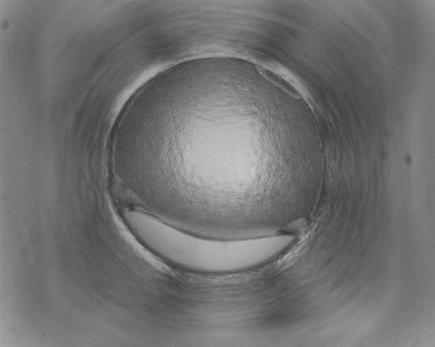 X0000075881142200610062021