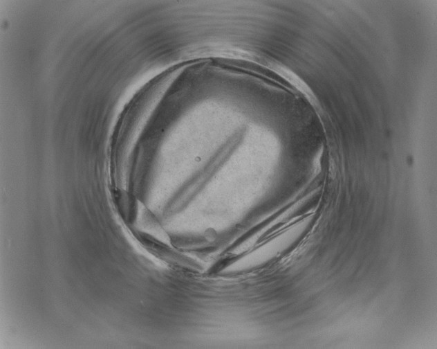 X0000075881144200610062021