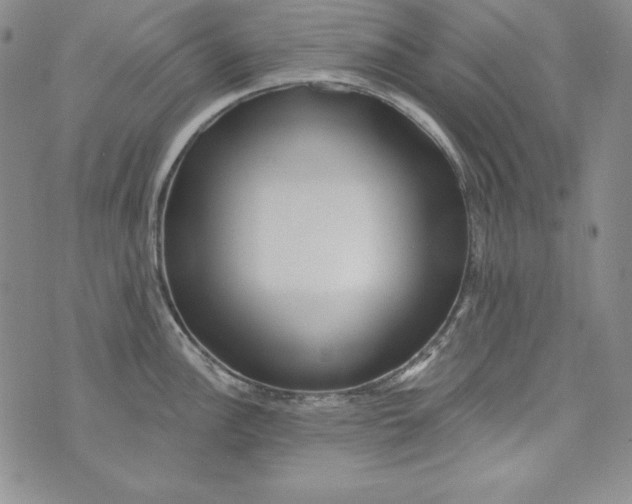 X0000075881148200610062021