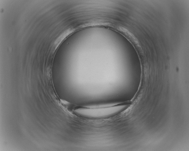 X0000075881185200610062020