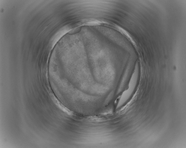 X0000075881194200610062020