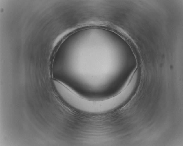 X0000075881222200610062019
