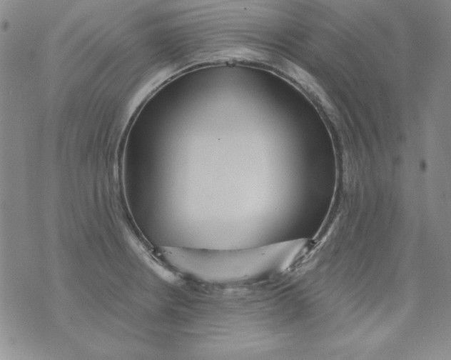 X0000075881234200610062019