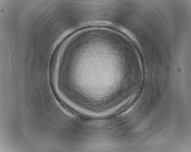 X0000075881237200610062020
