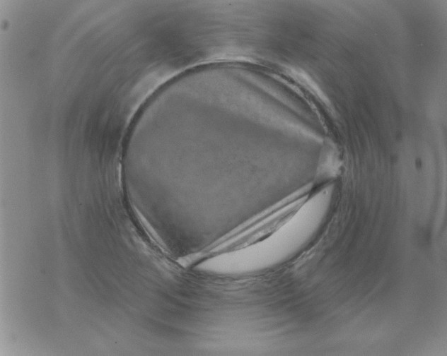 X0000075881268200610062019