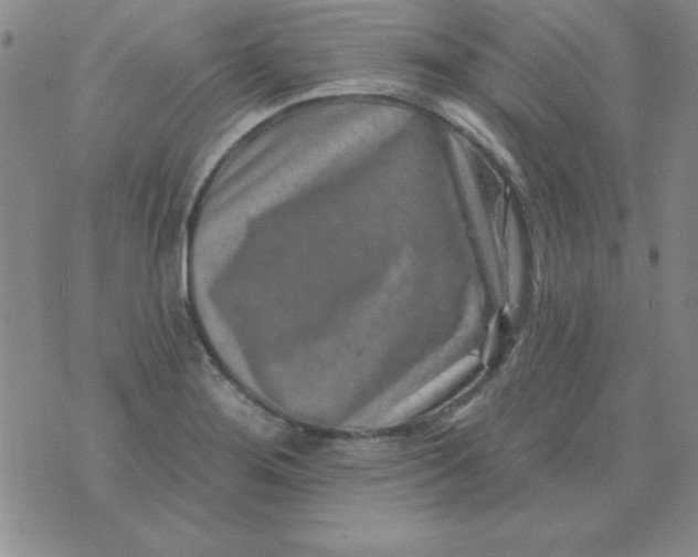 X0000075881276200610062018