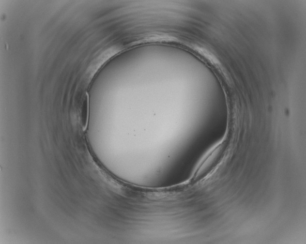 X0000075881281200610062018