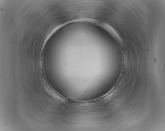 X0000075881292200610062018