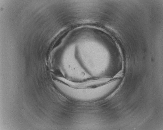 X0000075881305200610062018