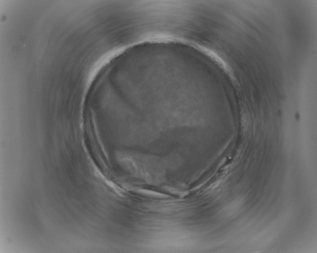 X0000075881327200610062018