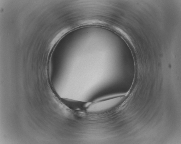 X0000075881330200610062018