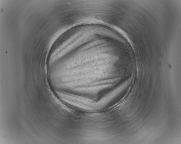 X0000075881335200610062018