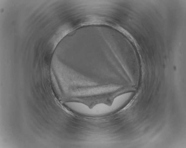 X0000075881337200610062018