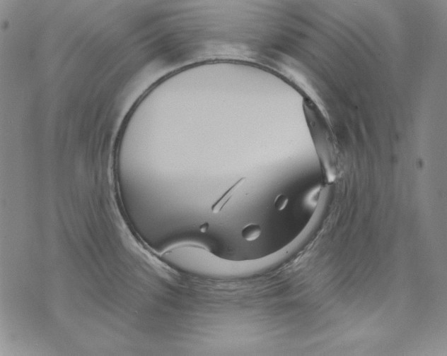 X0000075881339200610062018